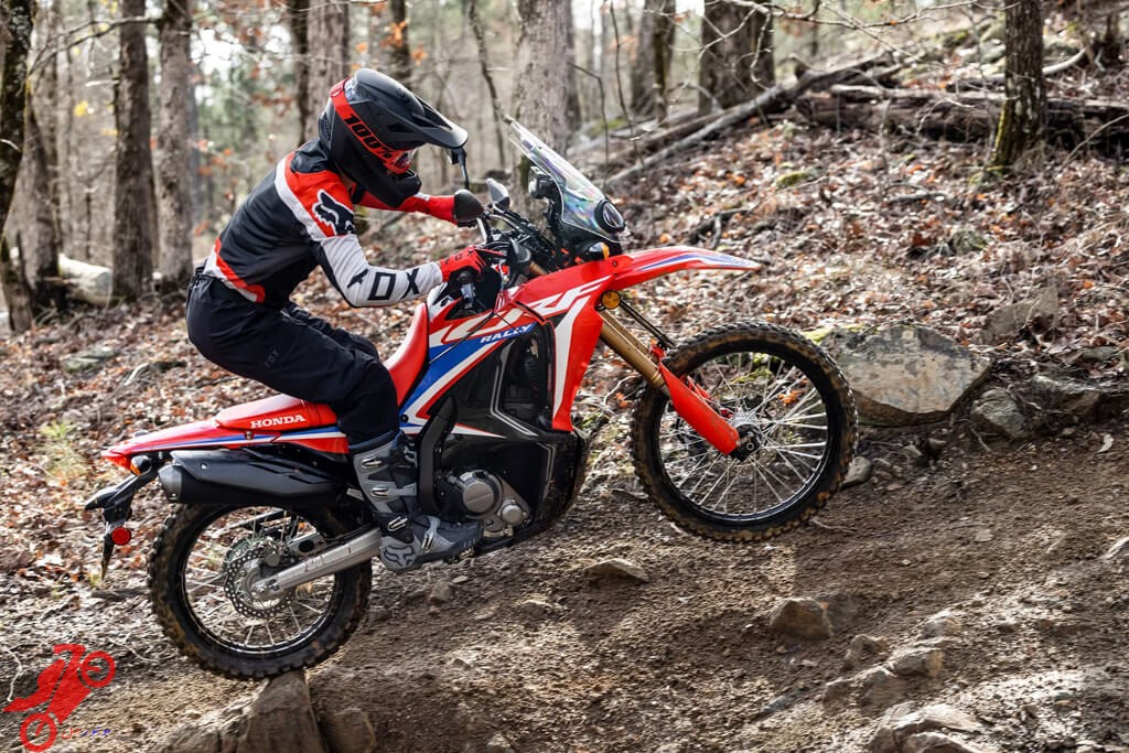 Dual Sport